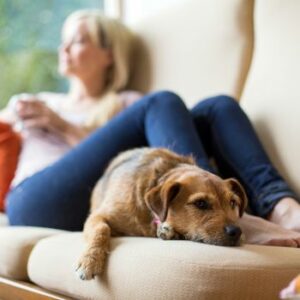 woman sitting on the couch with her dog