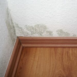 Mold on the wall in a corner of the room due to high temperatures in the home